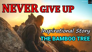 NEVER GIVE UP Motivational Video | Inspirational Story - The Bamboo Tree