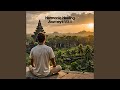 417 Hz - Emotional Healing and Renewal 05 (Guided Meditation)