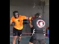 sparring momo vs coker