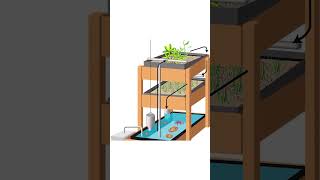 Aquaponics- grow fish & plants in water