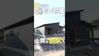 【平屋ルームツアー】猫ちゃんの匂い対策抜群！色使いが素敵な平屋　#shorts