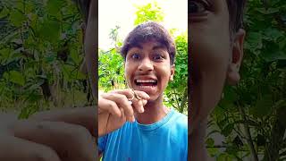 সুমন্দি কয় কিরে  #funny #spsohel