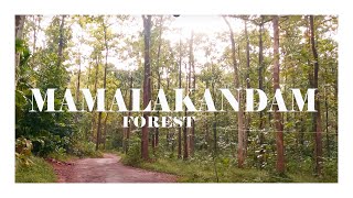 Mamalakkandam Forest Route | Kothamangalam