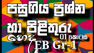 පසුගිය ප්‍රශ්න හා පිළිතුරු(1කොටස)  💚 හෙද EB Gr-1