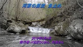 河原の源流　魚止め　【四国の渓流釣り 動画遡行記】