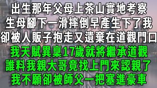 出生那年父母上茶山實地考察，生母腳下一滑摔倒早產生下了我，卻被人販子抱走又遺棄在道觀門口，我天賦異稟17歲就將繼承道觀，誰料我親大哥竟找上門來認親了 ，我不願卻被師父一把塞進豪車