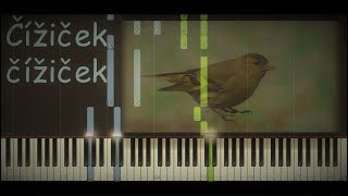 Ako Zahrať - Čížiček, čížiček - Piano Tutoriál