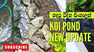 koi pond එකෙ අලුත් update එක|ගෙම්බන්ට ගහපු ගේම