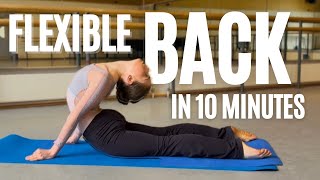 10 Minute BACK STRETCHES for Flexibility - Beginner Friendly