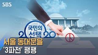 서울 동대문을 '3파전' 팽팽…경기 고양정, 이용우 우세 / SBS