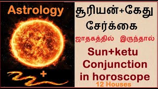 சூரியன் கேது சேர்க்கை ஜாதகத்தில் இருந்தால் ? Sun Ketu Conjuntion in Horoscope