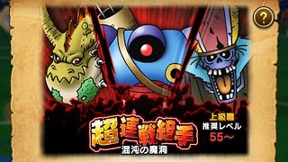 超連戦組手 混沌の魔洞に挑戦　推奨レベル55〜なのに、りゅうおう強すぎ