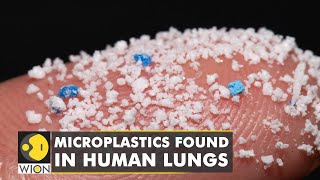 After blood, Microplastics found in human lungs now | World Latest English News | Top News | WION