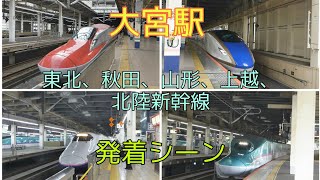 大宮駅 色んな新幹線の発着シーン集(東北、秋田、山形、上越、北陸新幹線)