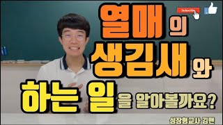 |초등과학| 6학년 1학기, 4단원 식물의 구조와 기능, 열매의 생김새와 하는 일을 알아볼까요? |elementary science|