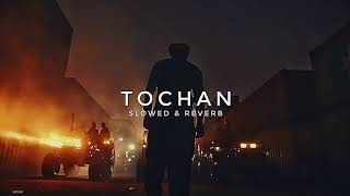 Tochan ( slowed + Reverb ) ||Sidhu Moose Wala || BygByrd || Punjabi song||