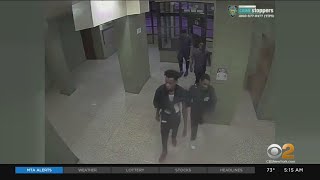 Arrest Made In Williamsburg Attempted Robberies