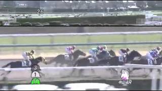 2014年 3歳新馬 / ラピダメンテ