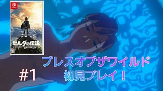 【ゼルダの伝説】ブレスオブザワイルド初見プレイ　part1　BotW