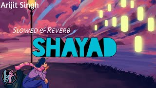Shayad (Lofi) lyrics - Arijit singh || Textaudio | ‎@thelofistation6704
