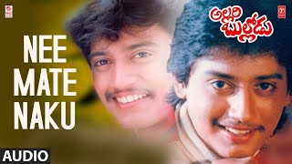 Nee Mate Naku Audio Song | Allari Bullodu Telugu Movie | Prashanth | Deva | Rajasri | Telugu Songs