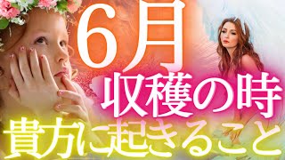 ６月／収穫の時✨運勢、起きることもしかして見られてる⁉タロットカードで占う✨オラクル ❤️選択式タロット仕事運 金運 富 成功 ソウルメイトタロット ふなチャンネル 風菜タロット