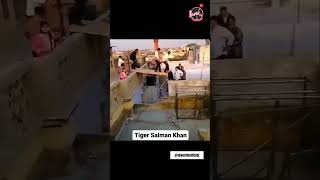 Tiger 3 Shooting Behind The Scene