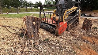 Mulching some Trees