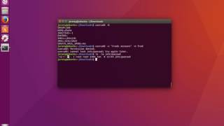 Linux Basics: How to Add a User Account