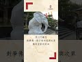 2024年短期出家 huayenworld 秋季 大華嚴寺 修行