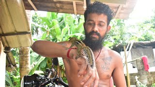 |കാളിയും മാമ്പിയും പുതിയ അതിഥിയും❤️|New guest For  kalidasan and mampi|