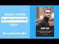 Image Hover with Sliding dropdown Text