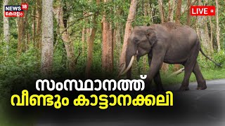 LIVE | Wild Elephant Attack In Idukki | 45 Yr Old Woman Died | Peruvanthanam | Latest News