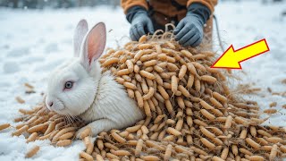 White Rabbit Covered in Millions of Worms Successfully Rescued