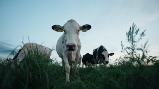 What the Wilson Family Has Learned from Farming Organic Since the ’90s