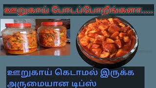 ஊறுகாய் போடப்போறீங்களா...... ஊறுகாய் கெடாமல் இருக்க சூப்பர் டிப்ஸ் @santhamanisamayal