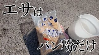 パン粉だけで釣りが成立します