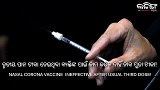 NASAL CORONA VACCINE  INEFFECTIVE AFTER USUAL THIRD DOSE ! Kalinga Scroll