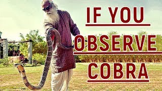 Sadhguru - The only way Cobra knows you is by your chemistry !