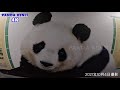 明日も健やかに過ごせるうよう願って🐼 きょうのタンタンの住む街、神戸🐼 night walk🐼 神戸散歩🐼 2021年10月4日🐼