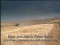 Beer and Ale: A Video Guide: Barley and the brewing process