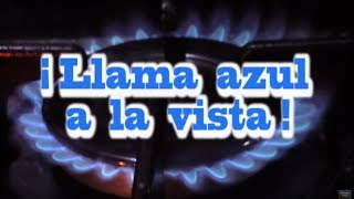 Llama AZUL vs Llama AMARILLA en Estufas a GAS...[ALERTA en la Cocina]