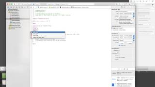 Xcode Tutorial #2 Declaring Variables in Objective-C | Different Variables in Programming
