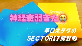 【セブチ開封】偏り激しめなSECTOR17開封【SEVENTEEN/セブチ/세븐틴】unboxing