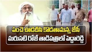 తాడిపత్రిలో హై టెన్షన్ | KethiReddy Pedda Reddy Landed In Tadipatri | JC | YSRCP || Samayam Telugu