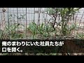 【スカッとする話】新しく赴任した年下部長「給与泥棒ジジイは要らんw」俺「はい 」→退職翌日、部長「12億の商談の担当は誰だ！」社員「部長が昨日クビにしましたが」部長「じゃあ俺が行く！」→結果w