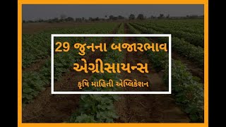 29 જુન 2020 ના ભાવ - Agriscience krushi