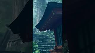 雨中秘境 高住神社 雨幕下的神秘体验 进风景里 旅行推荐官 日本旅游 治愈系风景 #日本三日游 #Osaka #旅行团 #Travel #Tour