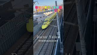 幸せの黄色い新幹線 ドクターイエロー #shorts #Doctor Yellow #JR東海道新幹線 #電車