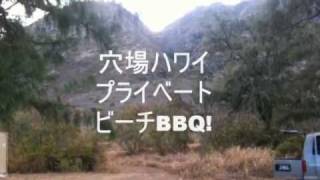 ハワイのプライベートビーチBBQツアー